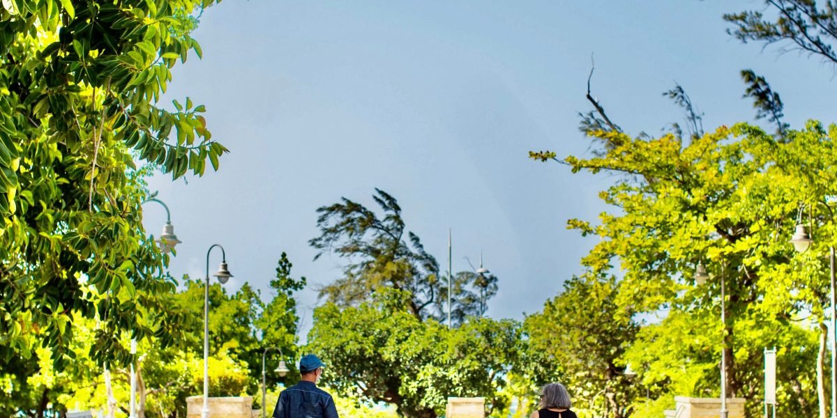 A family enjoying a leisurely walk through a lush, green residential community.